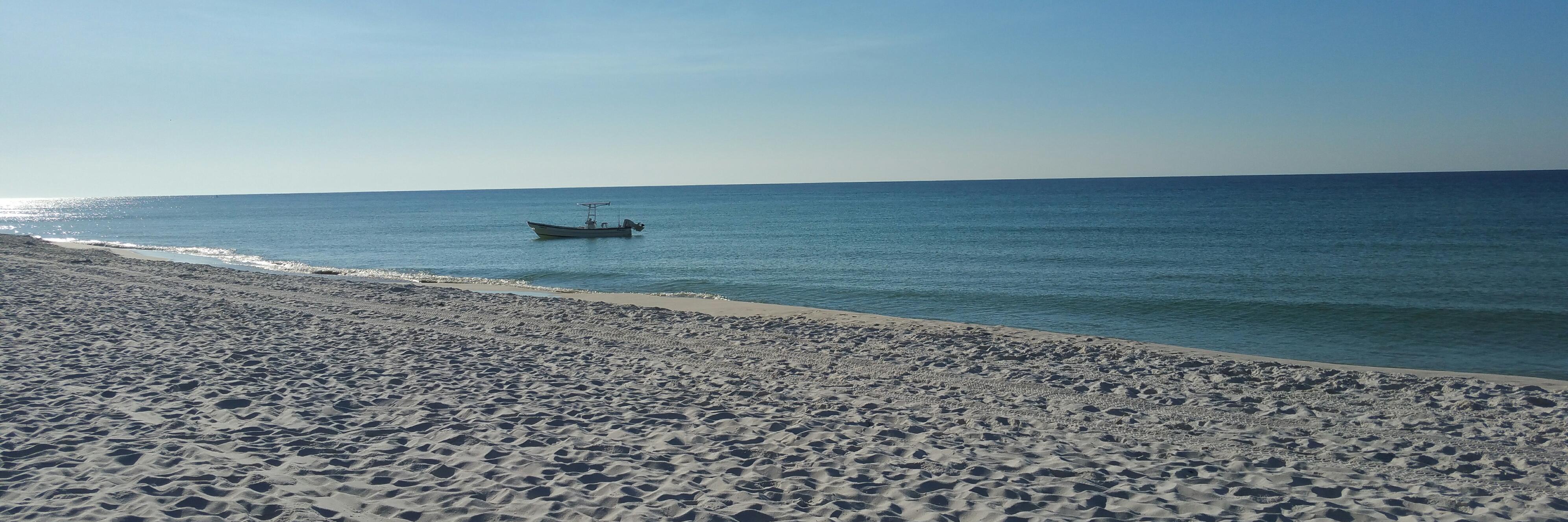 Suzanne Scanlan banner