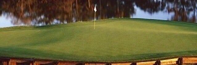 Michael_Hyman2's profile banner image