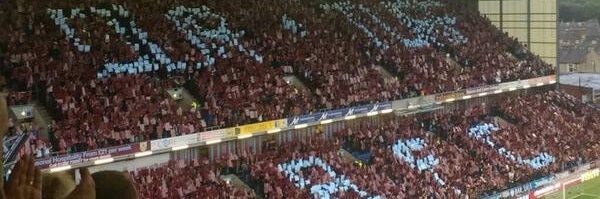 Erik Secic banner