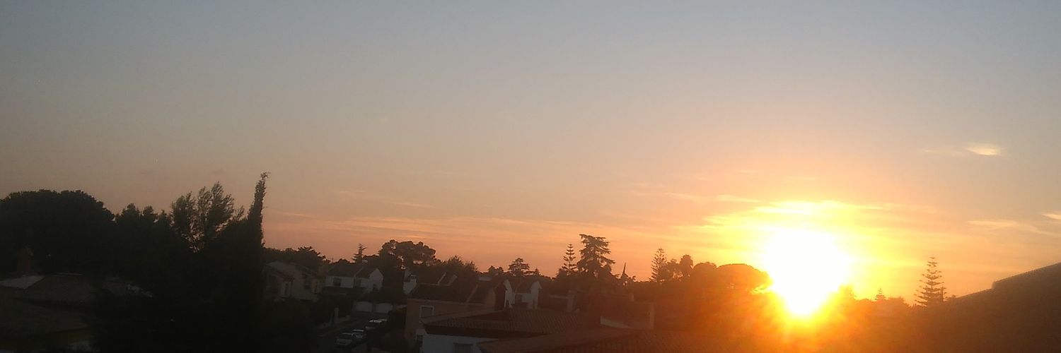 susannaortegapi's profile banner image