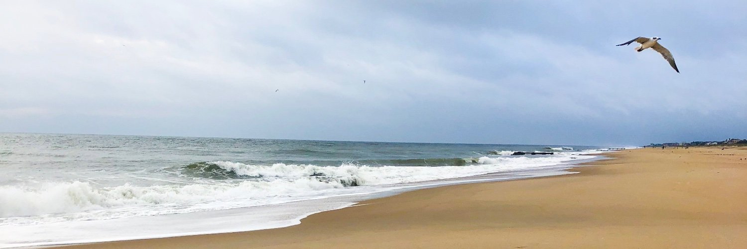 mirandamlogan's profile banner image