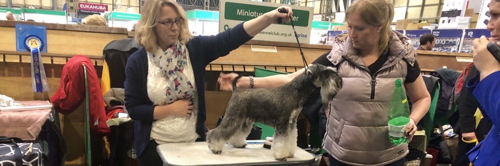 LeekDogGrooming's profile banner image