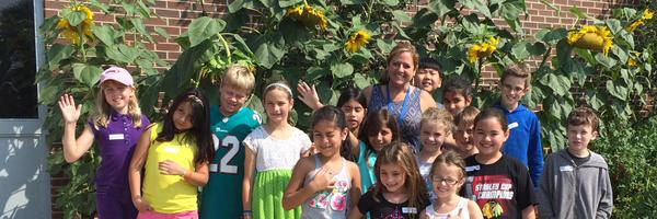 mg75wolves Profile Banner