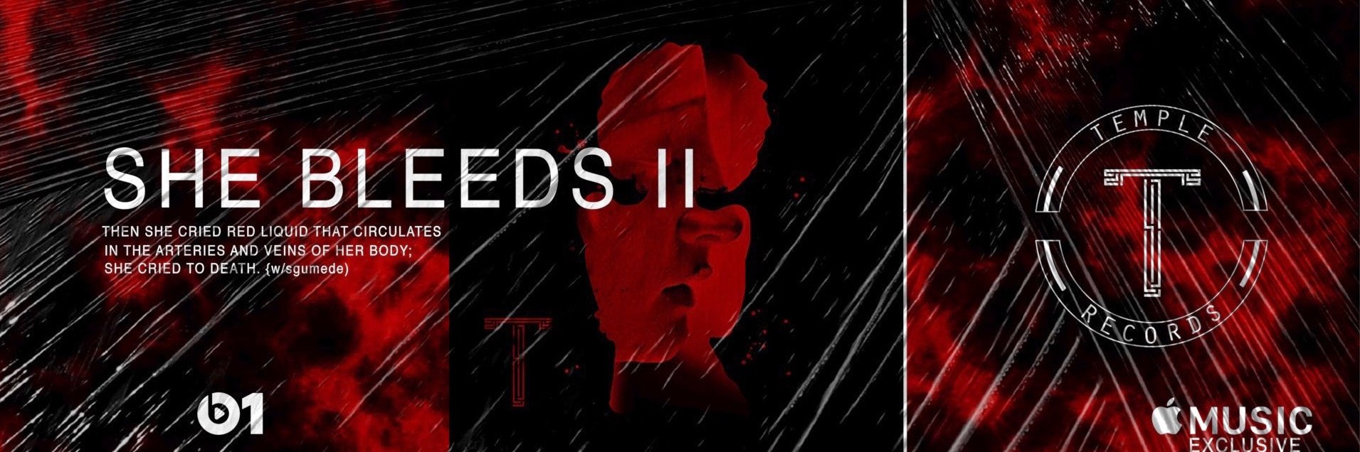 TempleRecordsSA's profile banner image