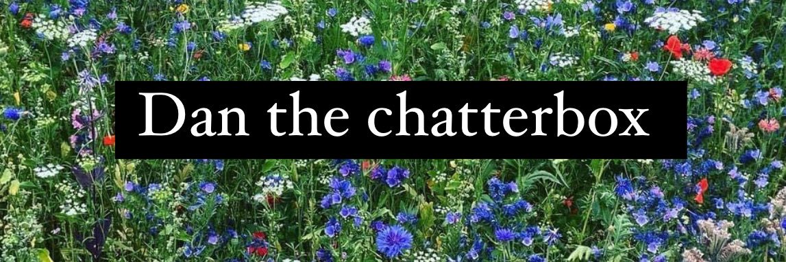 dan the chatterbox 🌵🪴🌸 banner