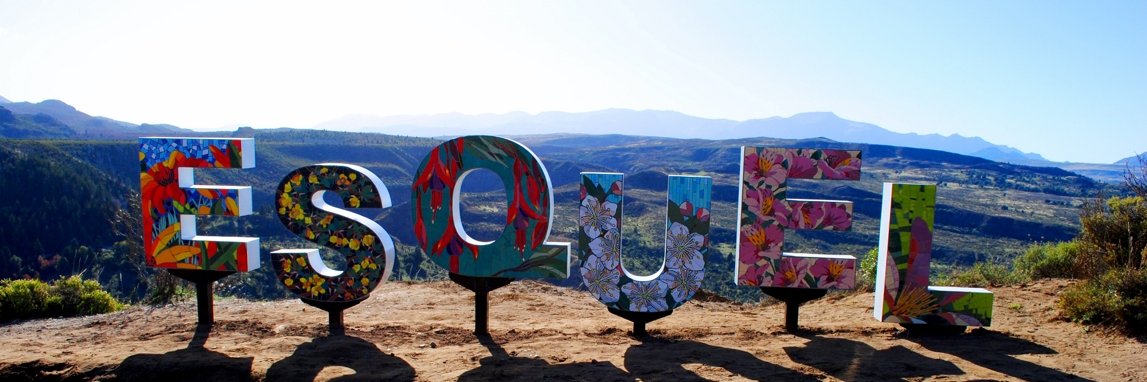 Municipalidad de Esquel banner
