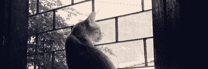 monnikitha_'s profile banner image