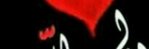 alhpp_2016's profile banner image