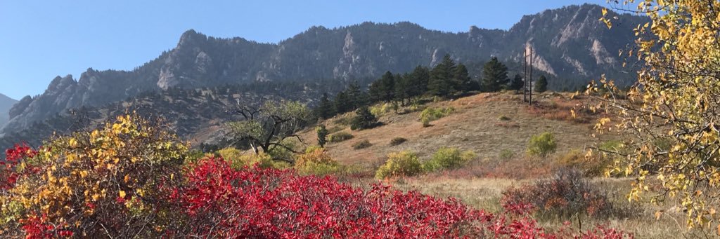 Felicia Goodrum🇺🇦 banner