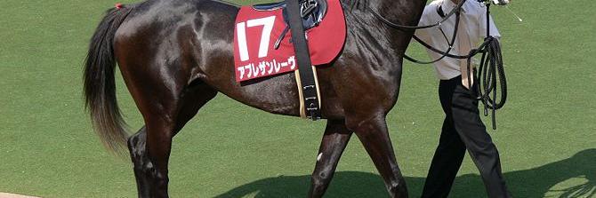 REMATEHIPICOS's profile banner image