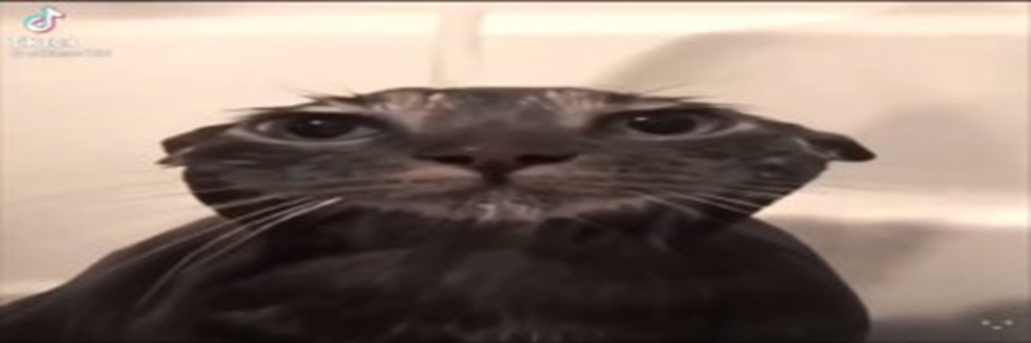 memea1915's profile banner image