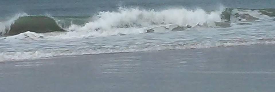 beachteach49's profile banner image