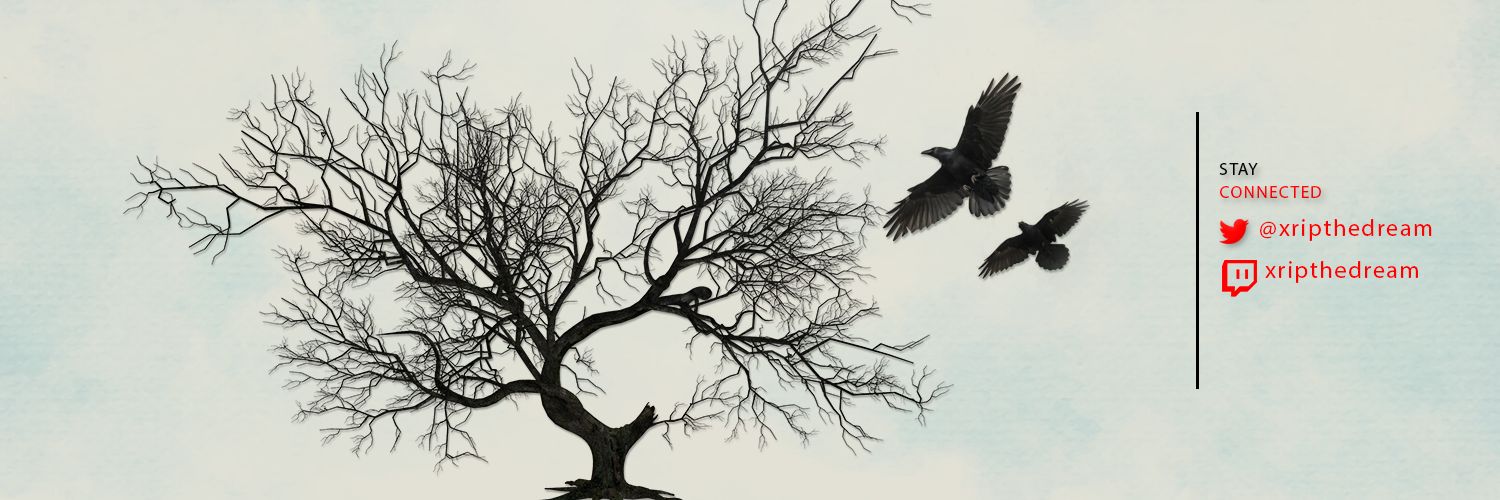 xripthedreamx's profile banner image