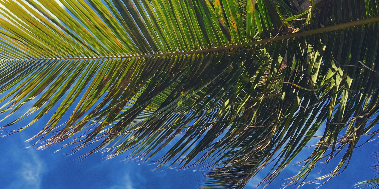 gabialvarezc's profile banner image