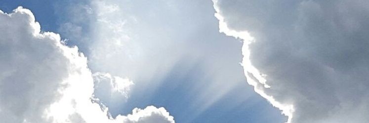 MariaTe31974283's profile banner image