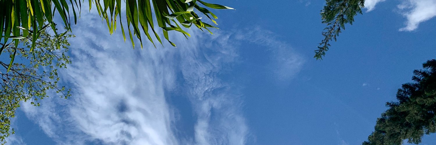 NÍVEA SANTARELLI banner