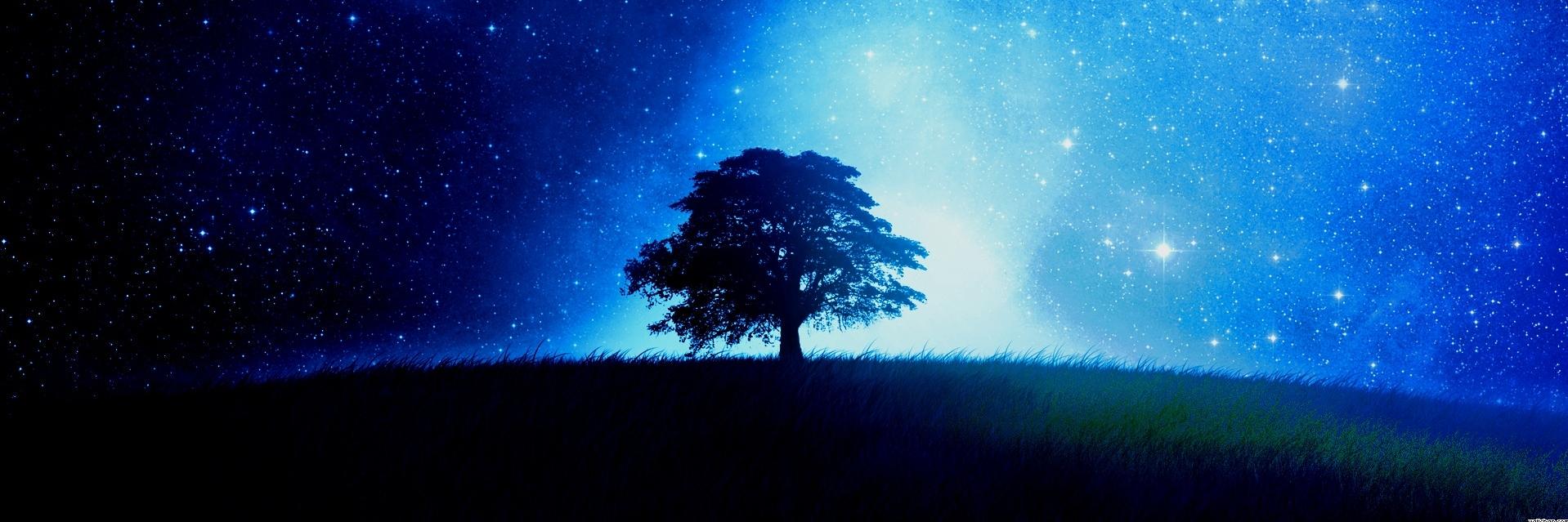 HowlDust42's profile banner image
