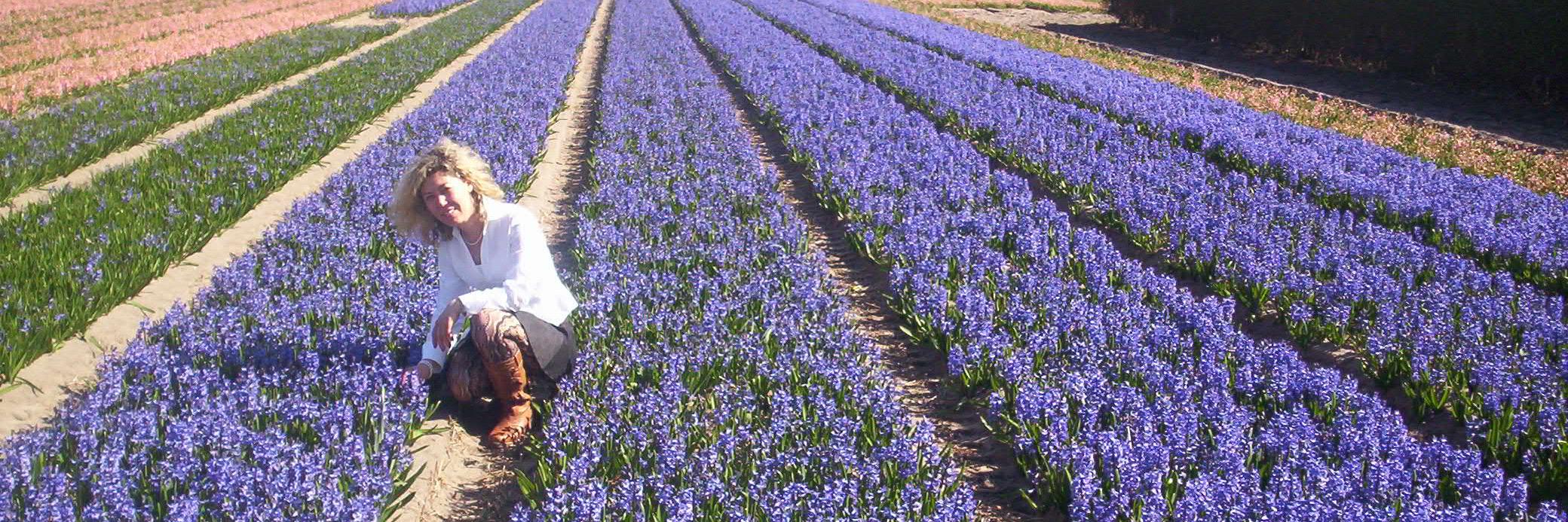 LittleFlowersDC's profile banner image
