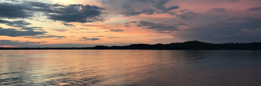 Juliane Fredericks banner