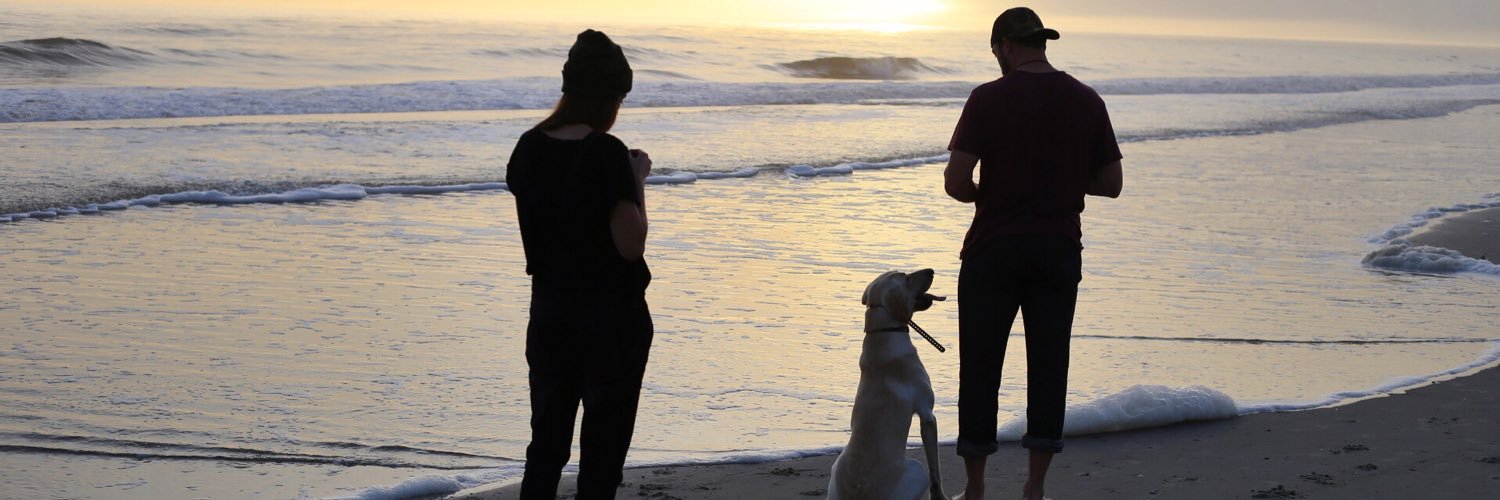 RexCBrothers's profile banner image