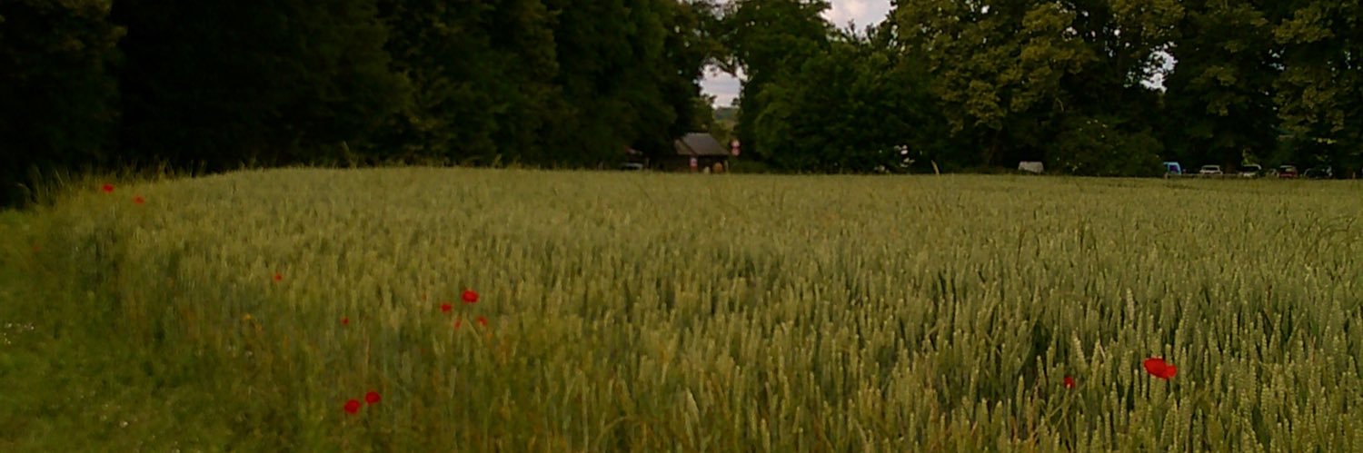 _SBFM_'s profile banner image