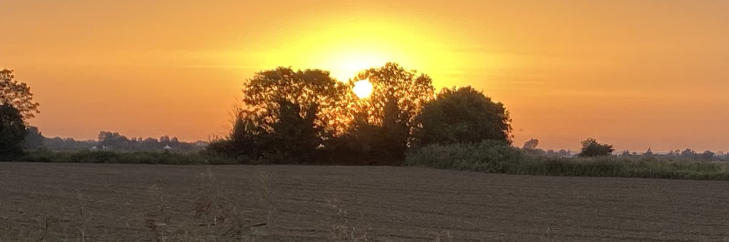 FeltBuggs's profile banner image