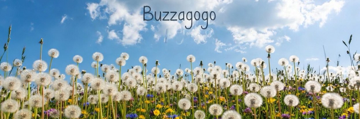Buzzagogo's profile banner image