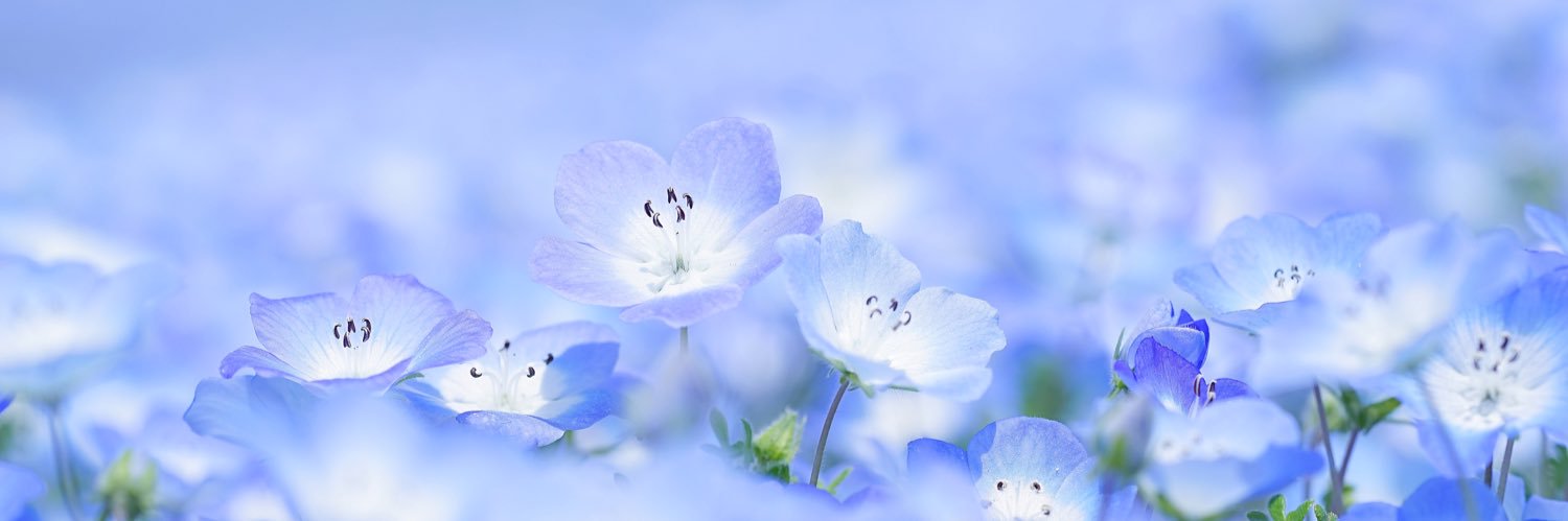CathurineC's profile banner image