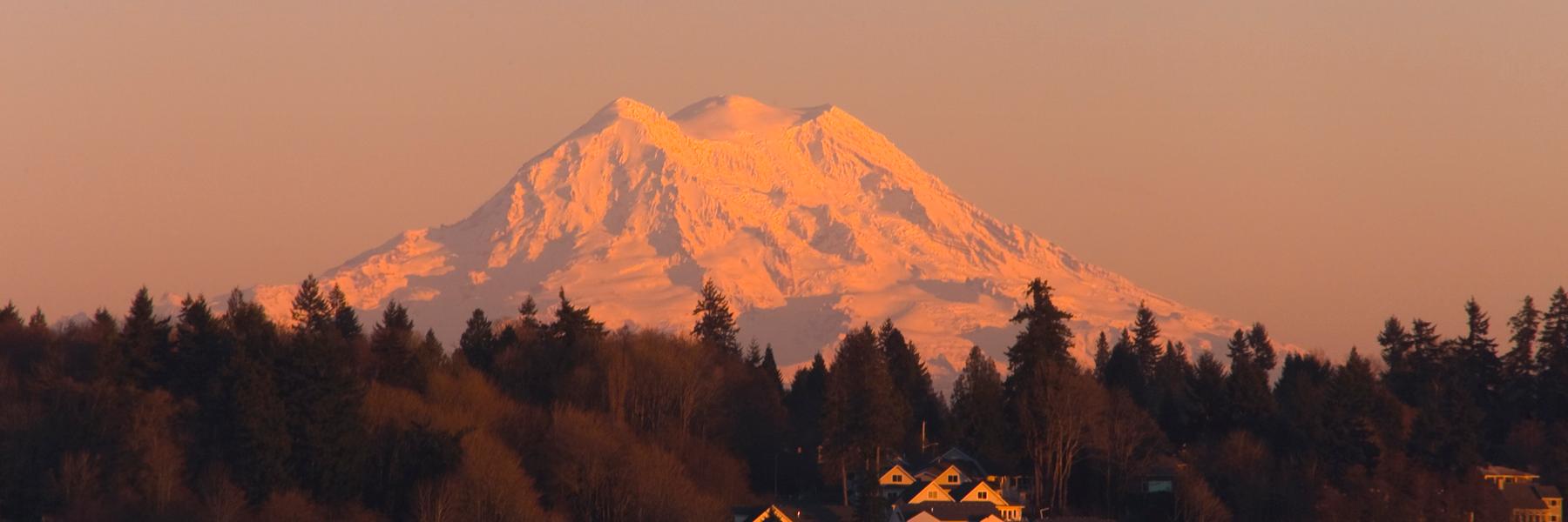 LaceyChamber's profile banner image