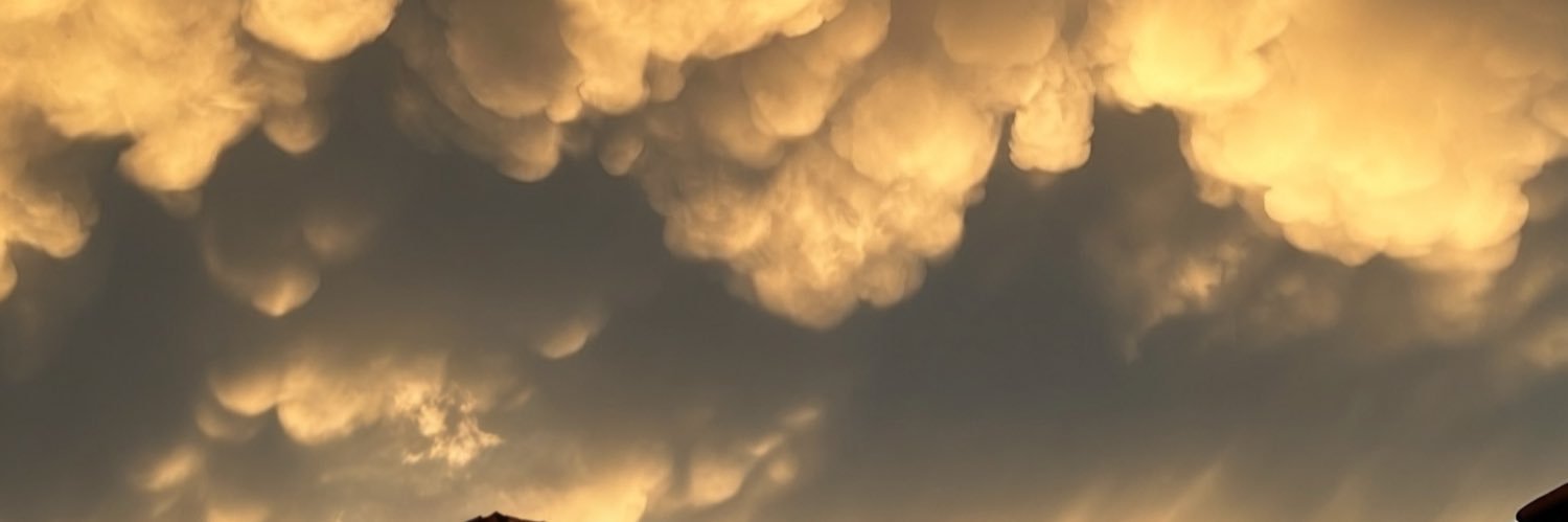 maywanheda's profile banner image