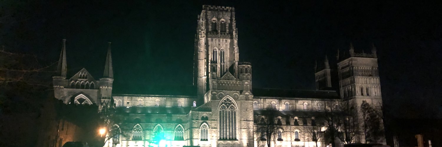 Allison Potter banner