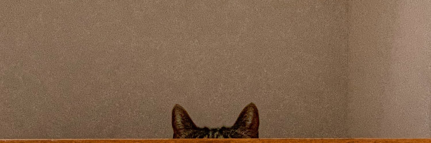 Steve Summers banner