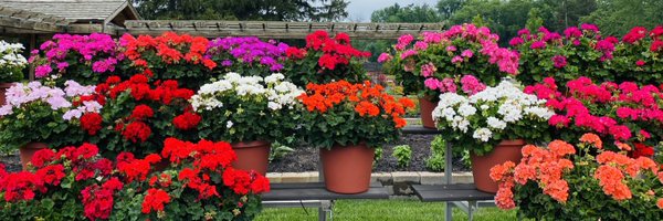 shakya Profile Banner