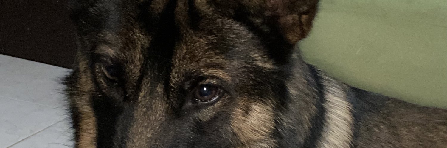 AnaSalgadoA's profile banner image