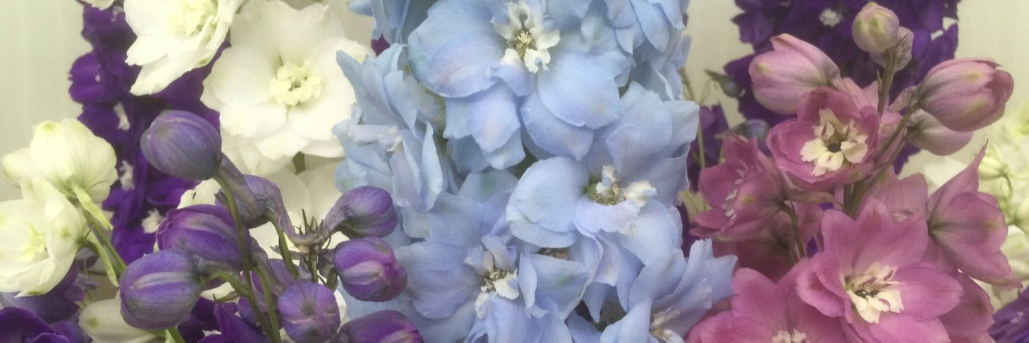 quality4flowers's profile banner image