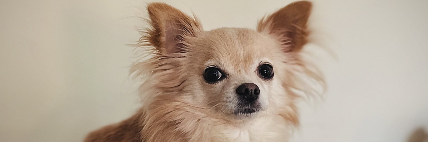 jackburrellhq's profile banner image