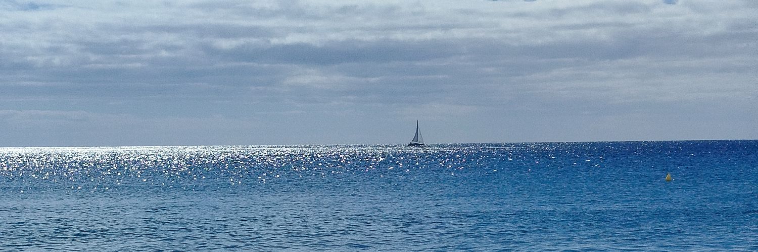 paulitispal's profile banner image