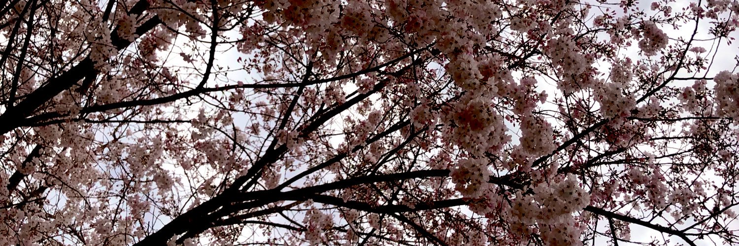 lo_lightt's profile banner image