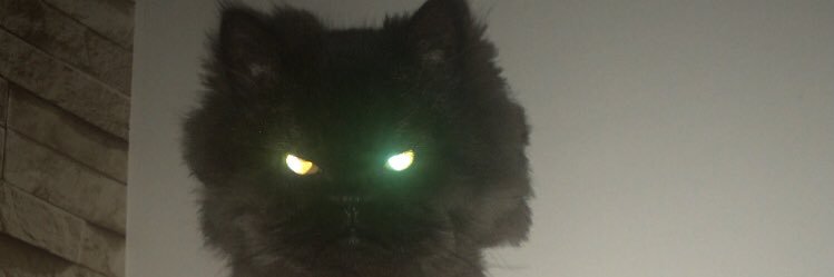 hilalitoooo's profile banner image