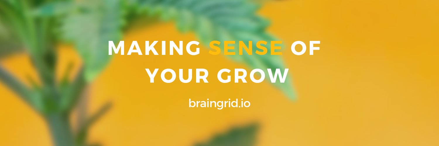 Braingridltd's profile banner image