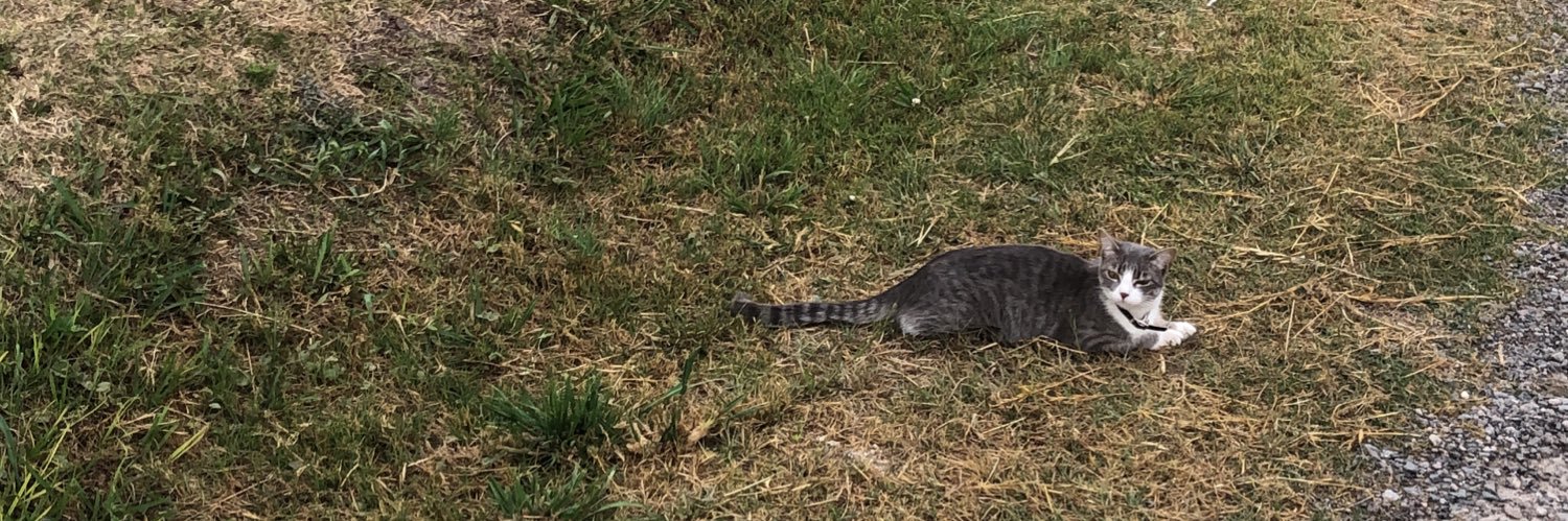 Brandon Max Weppler banner