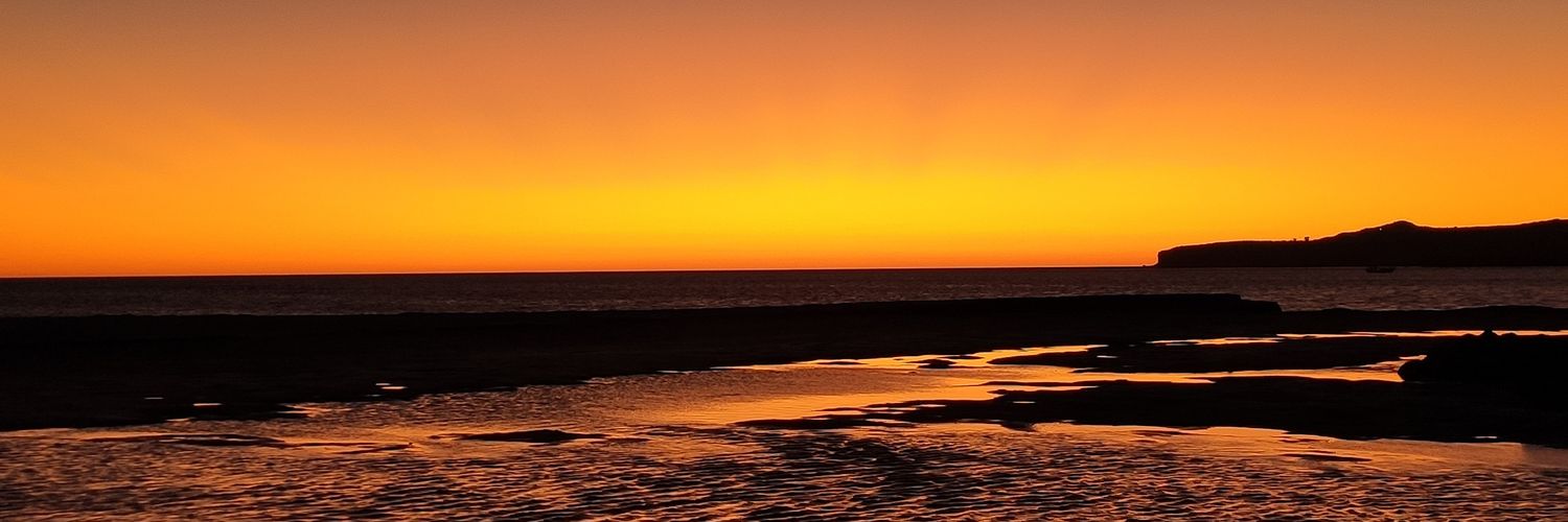 panteri73's profile banner image