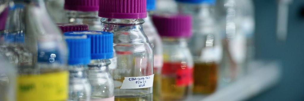 Notre Dame Biology banner