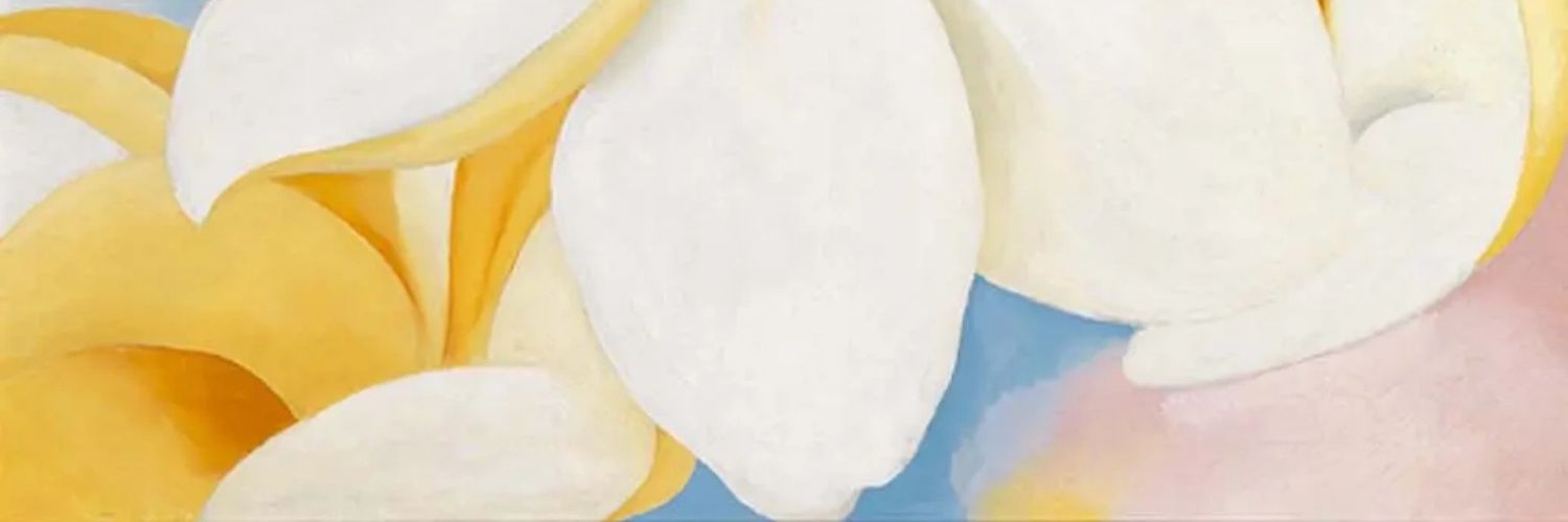 pawipaal's profile banner image