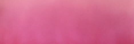 ysasarao's profile banner image
