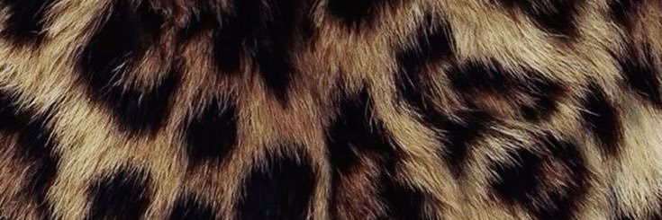 attxp's profile banner image