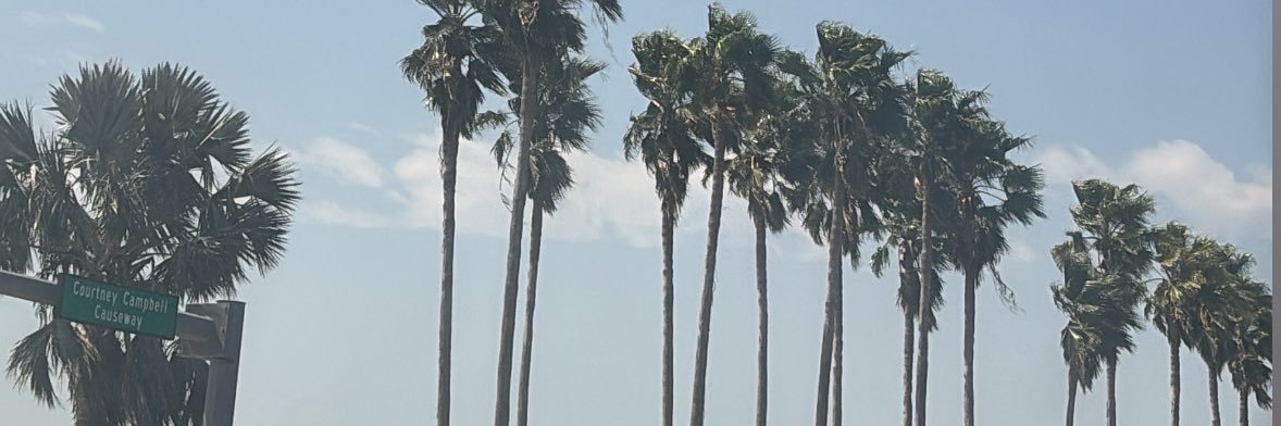 MandaAviriel's profile banner image