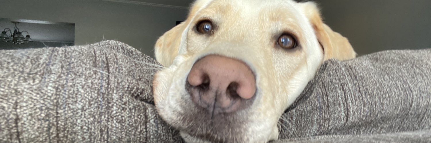 aubsrenae's profile banner image