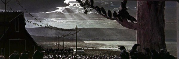 rafabauer Profile Banner