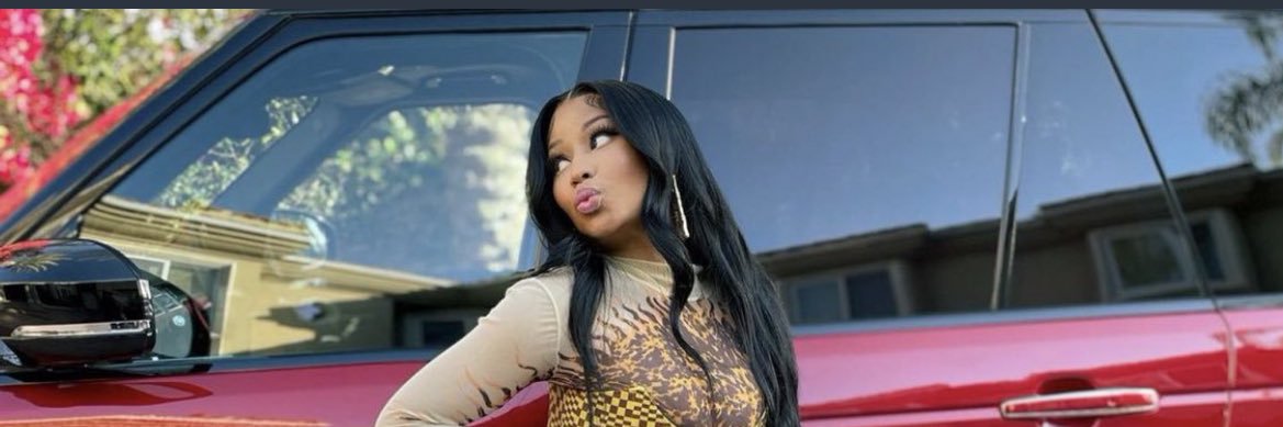 nicki banner